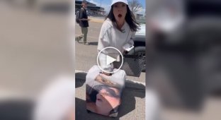 Уникальный чехол для чемодана