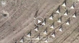 Уничтожение российского пехотинца между зубами дракона в Белгородской области