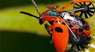 Футуристические животные и насекомые (20 фото)