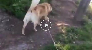 По-настоящему рыбное место