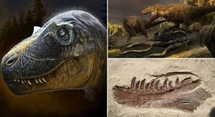 В Техасе нашли новый вид рогатого динозавра (12 фото)