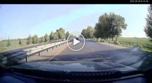 Король дороги. В Узбекистане водитель Range Rover «наказывал» всех на своем пути, кто не уступал ему дорогу