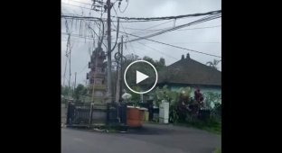 Парячі павуки на Балі лякають відпочиваючих
