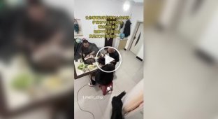 Голодный пес проучил хозяина