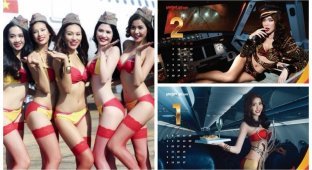 Вьетнамская авиакомпания выпустила "бикини-календарь" на 2018 год (9 фото + 1 видео)