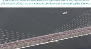 Гигантское изображение флага на мосту во Владивостоке (11 фото)