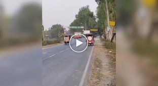 Meanwhile on the roads of India