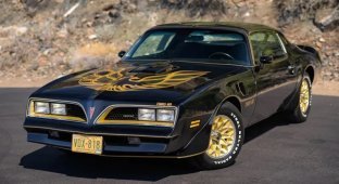 Pontiac Firebird Trans Am: classic with golden edges (10 photos)