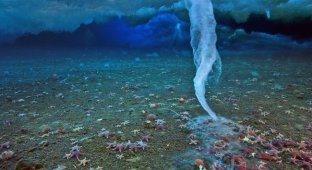 5 поразительных феноменов океана (8 фото)