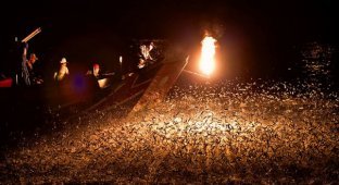 Dangerous fire fishing: a dying tradition in Asia (6 photos)