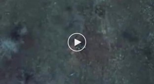 Луганская область, украинский дрон сбрасывает гранату за спину российскому военному