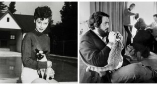 Знаменитые любители кошек: известные личности и их питомцы (41 фото)