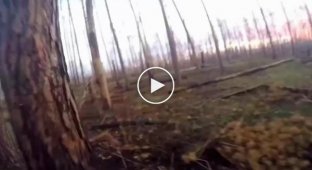Footage of battles in the Kremensky forest from the first person of the Ukrainian military