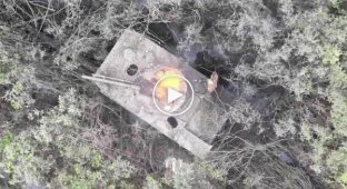 Украинский дрон уничтожает российскую БМД-4М возле села Работино в Запорожской области