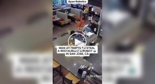 Мужчина пытался похитить робота из ресторана