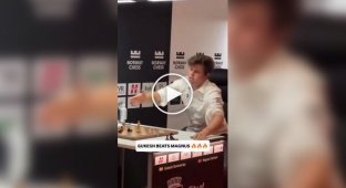 Известный шахматист психанул, когда проиграл молодому гроссмейстеру