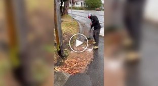 Cleaning the street from leaves