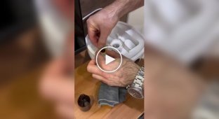 Cat owners poured valerian into a humidifier