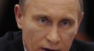Путин и синяк (7 фото)