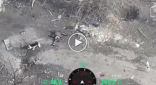 Fighters of the National Police showed how two dogs gnawed the body of a Russian soldier in Toretsk, Donetsk region