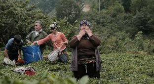 Turkish bird language: why people in a village have been communicating by whistling for several centuries (5 photos + 1 video)