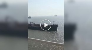 An unusual meeting at sea near ships
