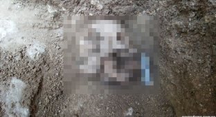 Археологи нашли захоронение живых мертвецов (4 фото)