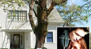 Business of the day: a couple bought a house from the movie "Twilight" and now makes money by renting it to fans (10 photos)