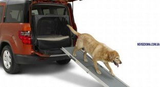 Honda Element 2010 – с заботой о владельцах собак (15 фото)