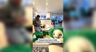 елка, которую коты точно не уронят