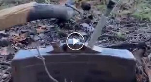 Обезвреживание противопехотной мины «Мон-50» украинским сапером