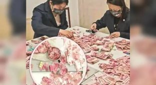 In China, bank employees spent 22 days gluing together banknotes cut up by a depressed woman (2 photos)