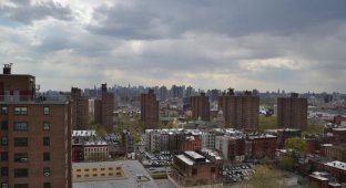 Бронкс — крыши и дворы (33 фото)
