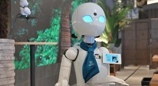 Розмова з робо-офіціанткою, якою дистанційно керує паралізована дівчина (4 фото + 2 відео)