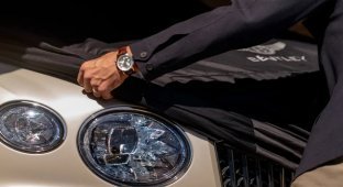 Bentley представил линейку аксессуаров для собак (2 фото)