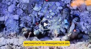 Группа ударных БПЛА батальона Арей УДА уничтожает оккупантов на Курщине