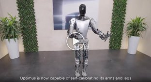 Tesla showed how a humanoid robot sorts objects and does yoga