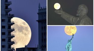 Самая яркая луна с 1948 года: завораживающие снимки со всех концов света (25 фото)