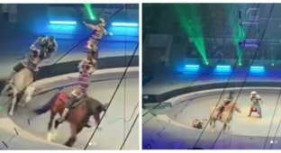 Цирковой акробат упал прямо под копыта лошади (7 фото + 1 видео)