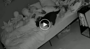 Самый лучший сон