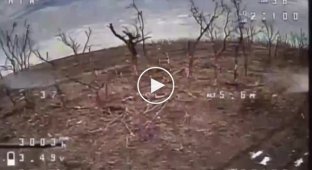 Ukrainian FPV drones attack Russian infantry in the Avdeevsky direction