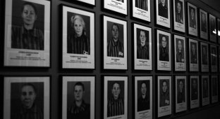 Концентрационный лагерь Освенцим (29 фото)