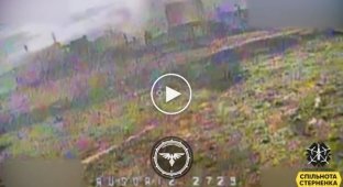 Drones continue to destroy Russians