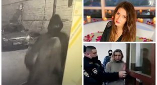 Любовница московского бизнесмена организовала заказное убийство соперницы (8 фото)