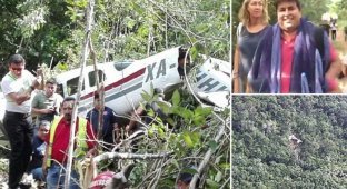 Британские туристы чудом избежали смерти, потерпев крушение в джунглях (9 фото)