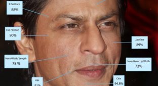 A plastic surgeon named the most handsome men of 2024 (10 photos)