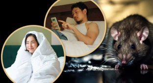 Move Over, Quad Riders: A New Subculture of "Ratmen" Is Gaining Popularity Around the World (2 photos + 1 video)