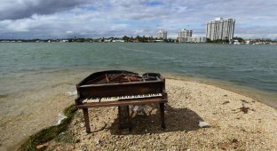 Рояль на отмели в заливе Майами (9 фото)