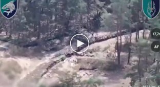 Сили оборони обстріляли групу росіян разом із технікою на Херсонщині
