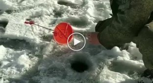 Успех на зимней рыбалке и неподдельная радость рыбака (мат)